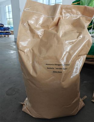 ประสิทธิภาพ Ammonium Nitrogen Reduction ฝุ่นน้ําตาล สะดวกต่อสิ่งแวดล้อม สารแบคทีเรียสําหรับการบํารุงน้ําเสีย